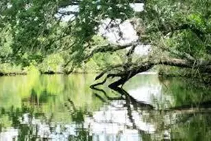 11447 SW Lake Park Dr, Port Saint Lucie, FL 34987 - Photo 123