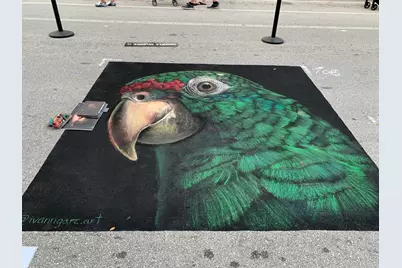 404 S M Street, Unit #1, Lake Worth Beach, FL 33460 - Photo 63