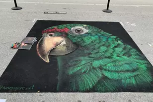 404 S M St, Lake Worth Beach, FL 33460 - Photo 63