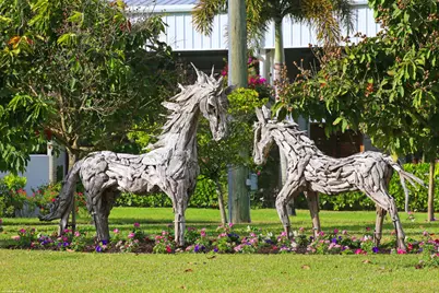 16155 Norris Road, Wellington, FL 33470 - Photo 45