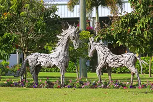 16155 Norris Rd, Wellington, FL 33470 - Photo 45