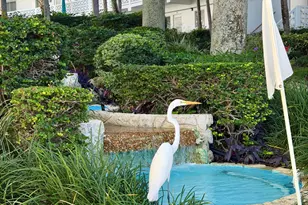 2850 S Ocean Blvd Unit, Palm Beach, FL 33480 - Photo 25