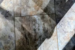 725 Auburn Preserve Blvd, Auburndale, FL 33823 - Photo 25