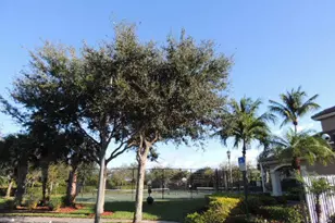 4452 Lake Tahoe Cir, West Palm Beach, FL 33409 - Photo 23