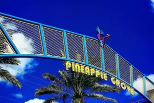 5220 Las Verdes Cir, Delray Beach, FL 33484 - Photo 47