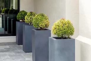 2555 NW 59th St, Boca Raton, FL 33496 - Photo 9