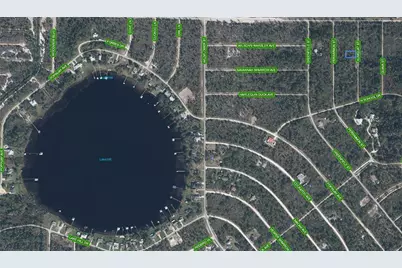 1256 Kumquat Street, Lake Placid, FL 33852 - Photo 3