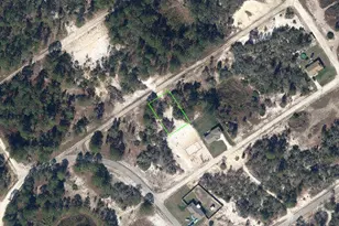 447 Black Bird Ave, Lake Placid, FL 33852 - Photo 1