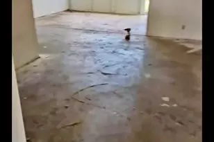 5800 Fernley Dr W, Greenacres, FL 33415 - Photo 3