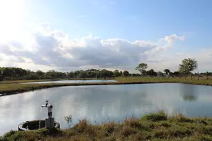 2410 S Brocksmith Rd, Fort Pierce, FL 34945 - Photo 37