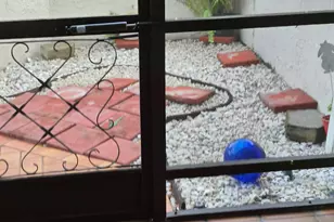 9717 Sills Dr E, Boynton Beach, FL 33437 - Photo 19