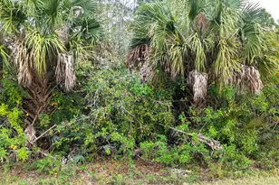 12885 86th St, Fellsmere, FL 32948 - Photo 1