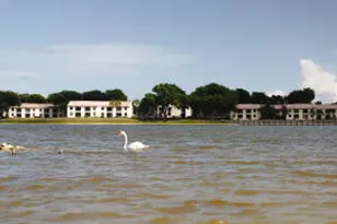 2650 Greenwood Terrace, Boca Raton, FL 33431 - Photo 25