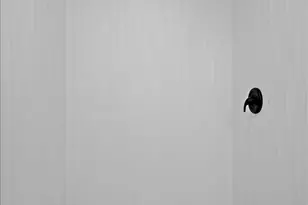 4316 Osha St, Palm Beach Gardens, FL 33410 - Photo 5