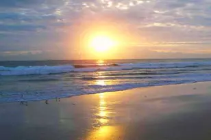 2400 S Ocean Dr Unit, Fort Pierce, FL 34949 - Photo 79