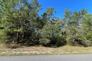 SW 34th Terrace, Ocala, FL 34473 - Photo 1