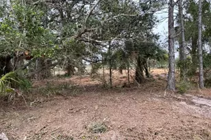 16111 NW 310th St, Okeechobee, FL 34972 - Photo 1