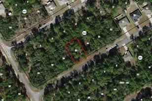 245 W Ruska Pl, Citrus Springs, FL 34434 - Photo 1