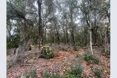 0 Pat Avenue, Interlachen, FL 32148 - Photo 1