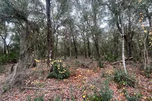 0 Pat Ave, Interlachen, FL 32148 - Photo 1