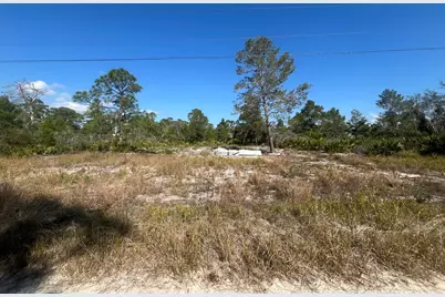 203 Raven Avenue, Sebring, FL 33870 - Photo 1