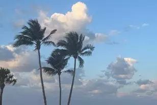 505 NE 20th Ave, Deerfield Beach, FL 33441 - Photo 1