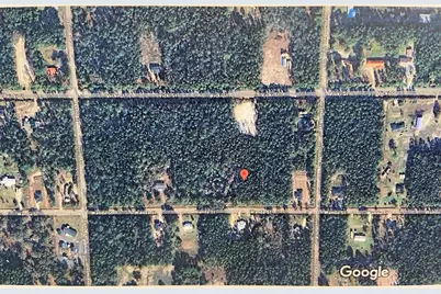 4320 Wanda Street, Hastings, FL 32145 - Photo 1