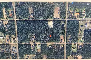 4320 Wanda St, Hastings, FL 32145 - Photo 1