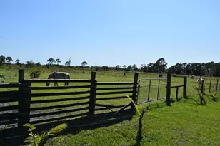 10435 NE 120th St, Okeechobee, FL 34972 - Photo 1