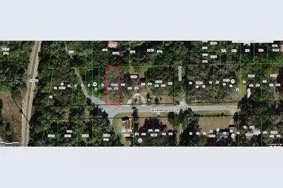 1789 W Henry Blair Lane, Dunnellon, FL 34434 - Photo 1