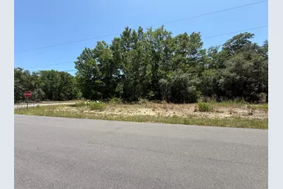 11064 N Academy Drive, Citrus Springs, FL 34434 - Photo 1