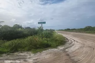 6746 Dennis St, Loxahatchee, FL 33470 - Photo 1