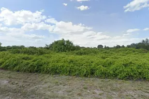 533 Lone Star Ln, Lehigh Acres, FL 33974 - Photo 1