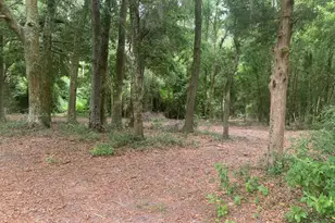 20 SW Sw St, Bell, FL 32619 - Photo 1