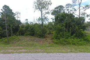 904 Louis Ave, Lehigh Acres, FL 33972 - Photo 1