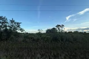 18878 260th St, Okeechobee, FL 34972 - Photo 1