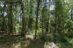 1032 E Vercelli Ln, Citrus Springs, FL 34434 - Photo 1