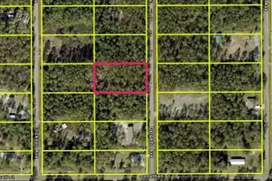 10705 Delgado Ave, Hastings, FL 32145 - Photo 1