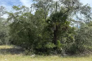 9793 N Alder Ave, Crystal River, FL 34428 - Photo 1