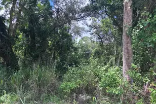 3271 Sunrise Blvd, Fort Pierce, FL 34945 - Photo 1