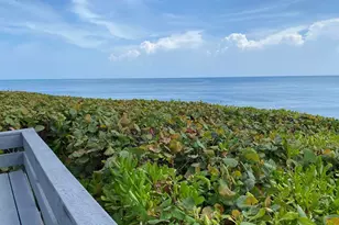 420 Celestial Way, Juno Beach, FL 33408 - Photo 41