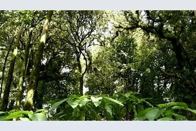 5657 NW Whitecap Road, Port Saint Lucie, FL 34953 - Photo 1