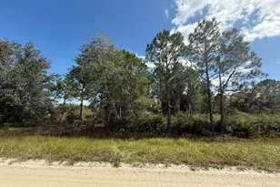 15991 NW 312th St, Okeechobee, FL 34972 - Photo 1
