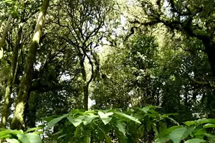 5791 NW Whitecap Rd, Port Saint Lucie, FL 34986 - Photo 1