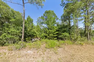 1001 Hummingbird St, Lake Placid, FL 33852 - Photo 1