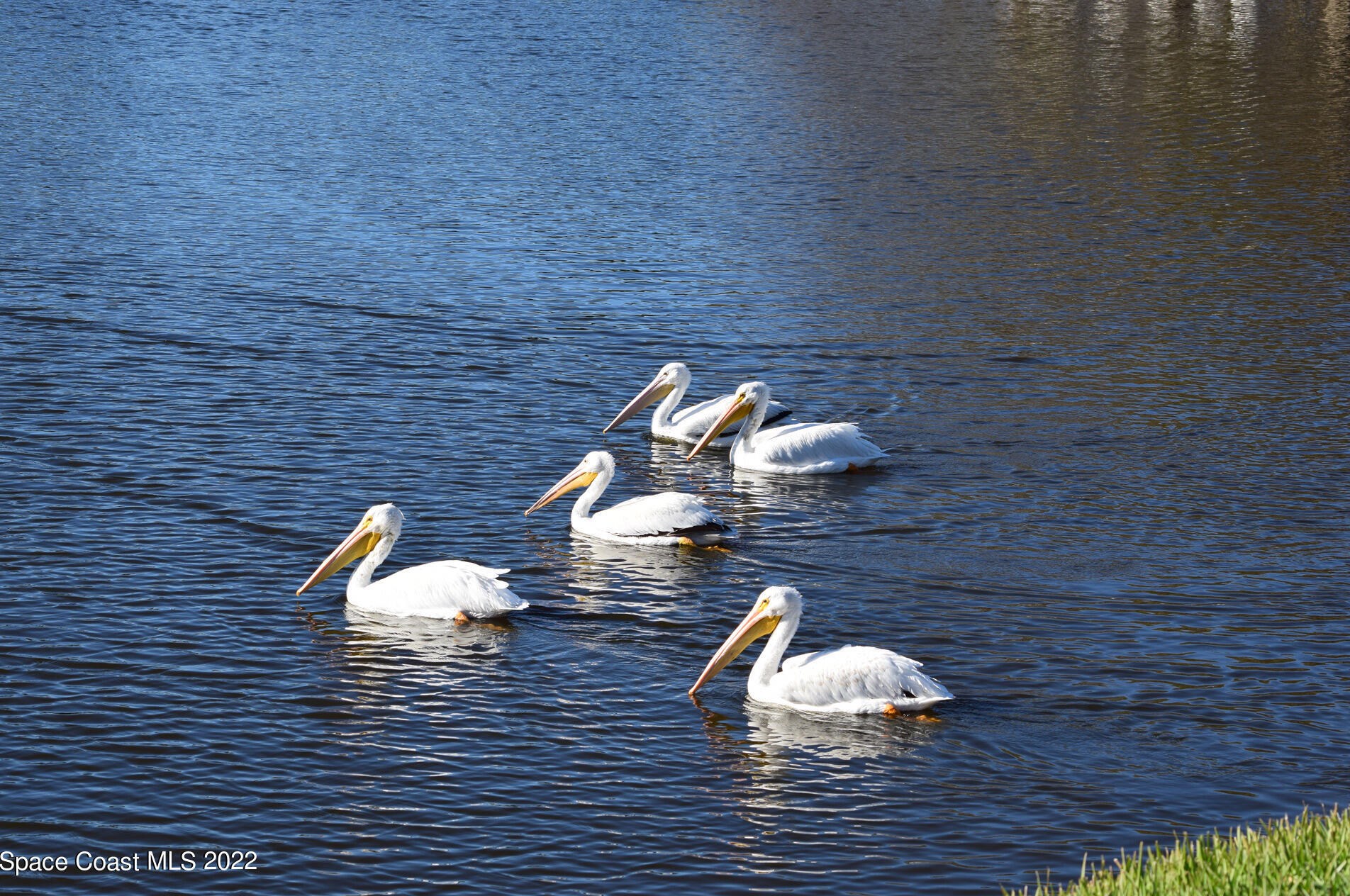 1701 Freedom Dr, Melbourne FL 32940-6714 exterior