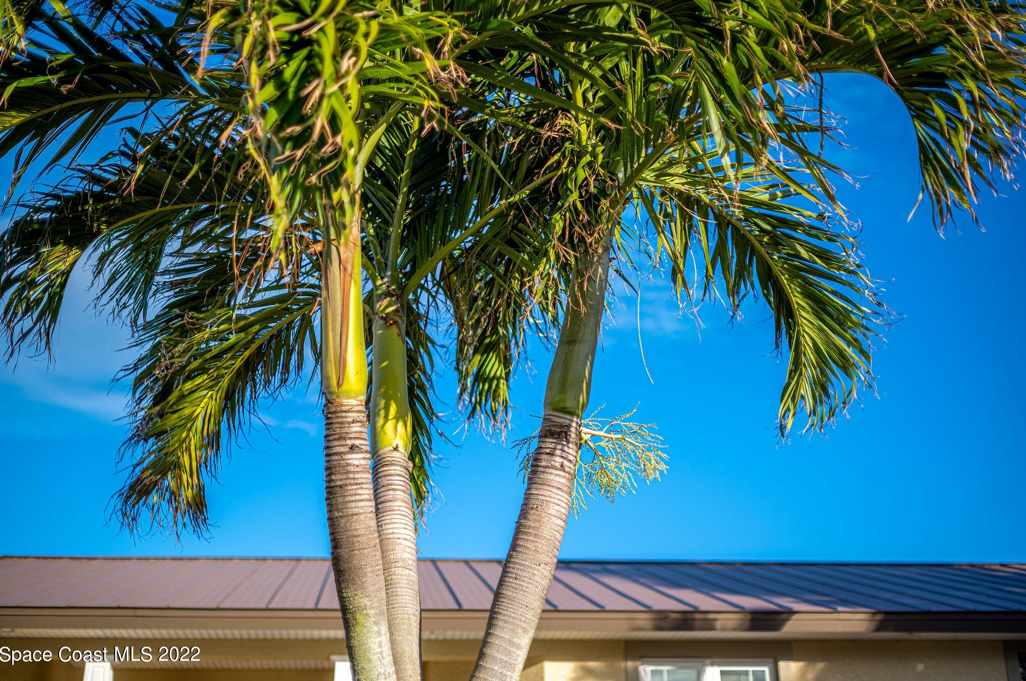 1775 Larchmont Ct, Merritt Island FL  32952-5637 exterior