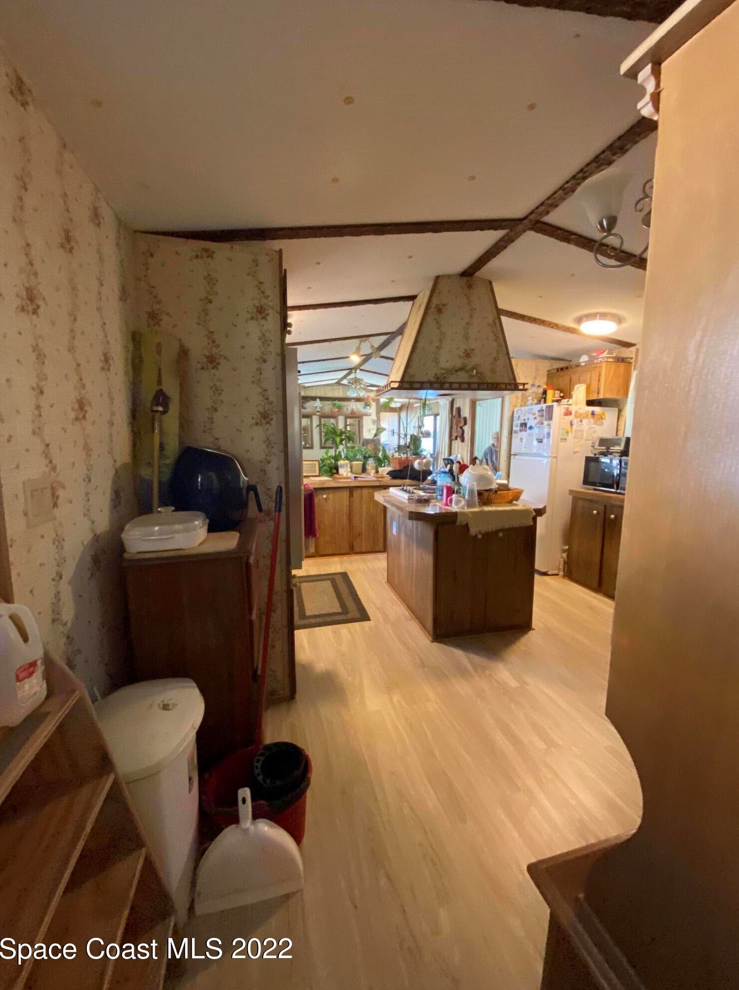 133 Coleman St, Edgewater FL  32141-7312 exterior