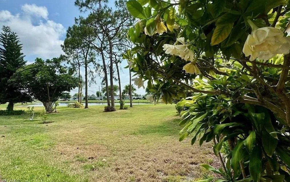 2037 Pine Isle Ln, Naples FL 34112-6185 exterior