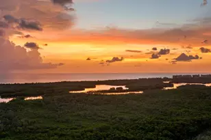 1001 Arbor Lake Dr, Naples, FL 34110 - Photo 39